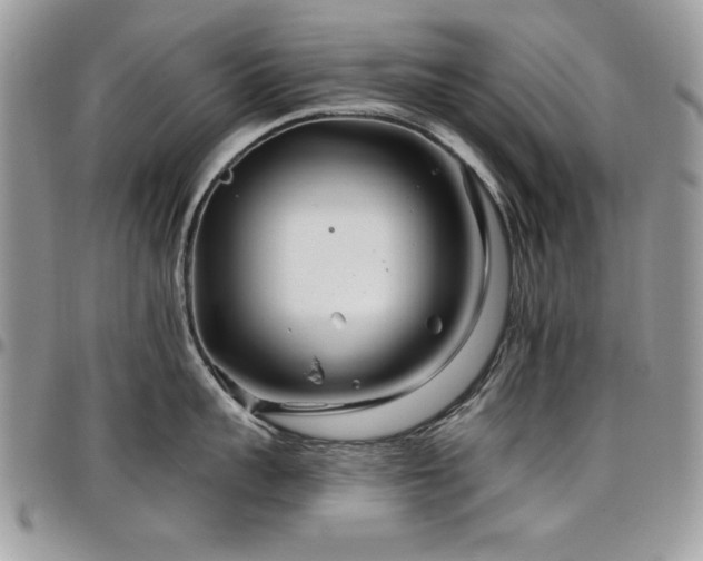 X0000098030959200803281406