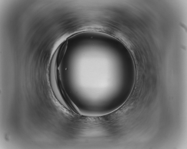 X0000098030960200803281406