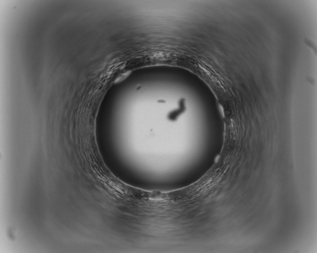 X0000098030961200803281405