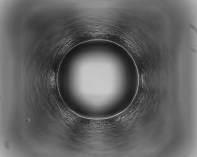 X0000098030963200803281405