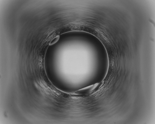 X0000098030964200803281405