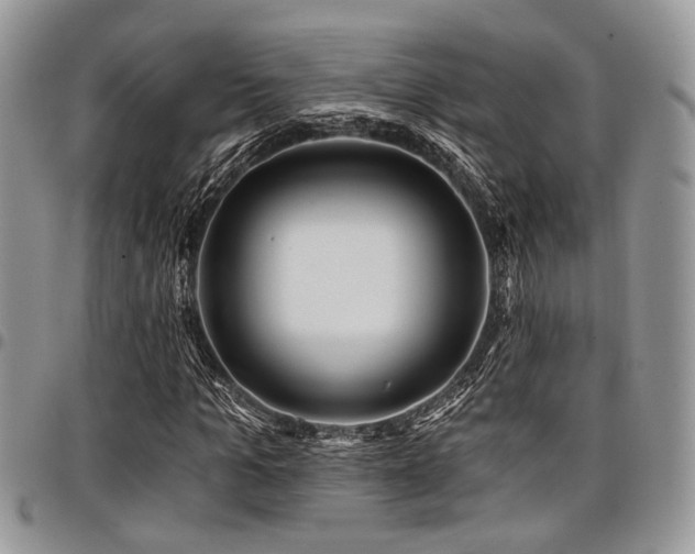 X0000098030965200803281405