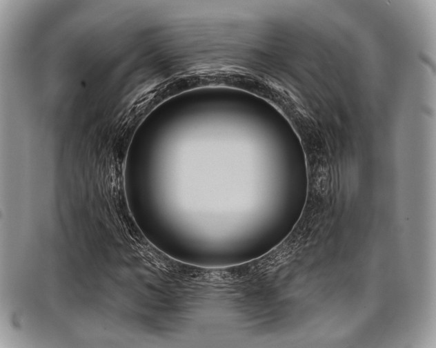 X0000098030966200803281405