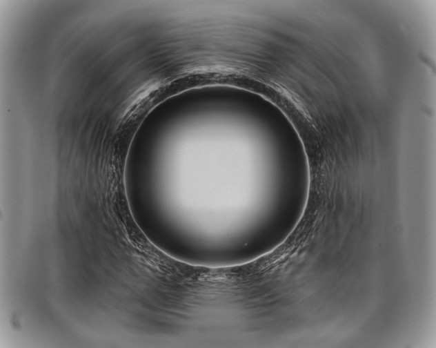 X0000098030967200803281405