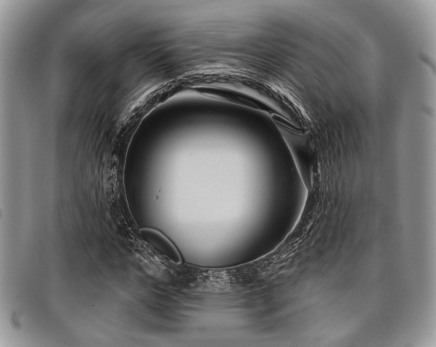 X0000098030968200803281405