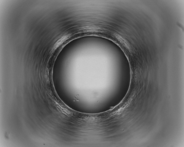 X0000098030970200803281405