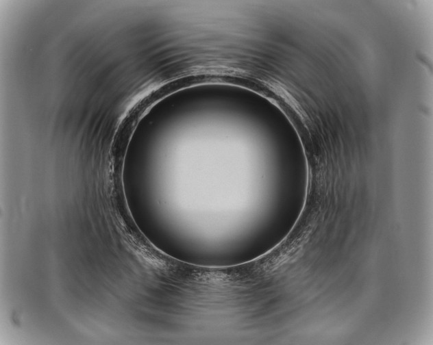 X0000098030971200803281405