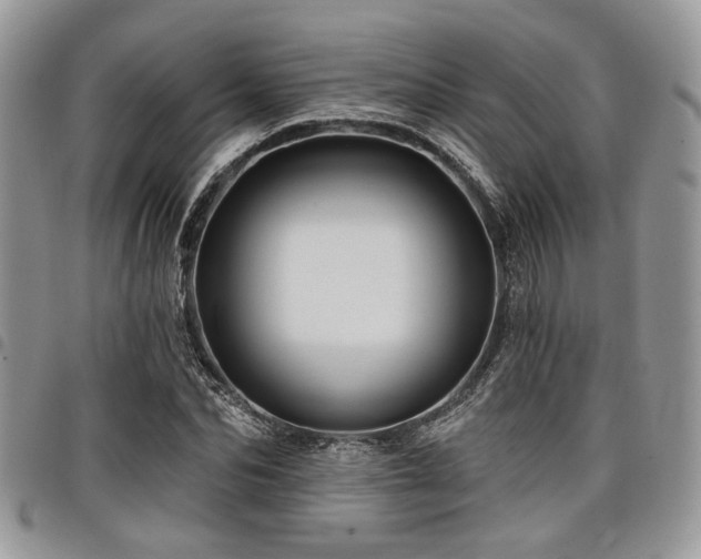 X0000098030974200803281405