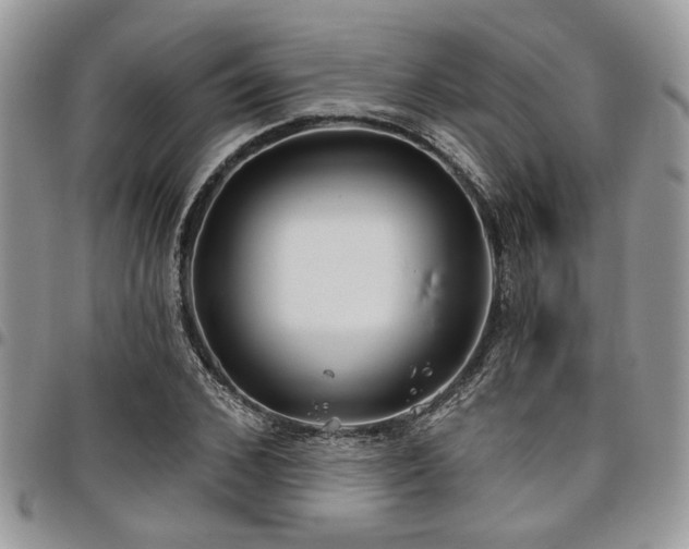 X0000098030976200803281405