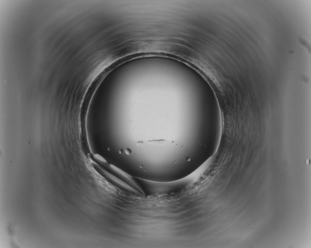 X0000098030980200803281405