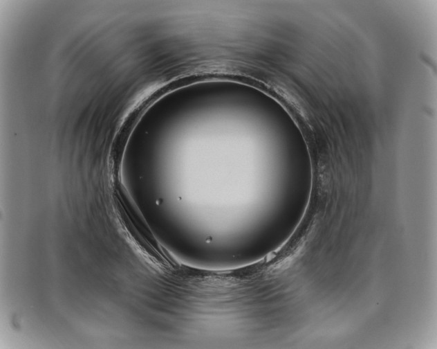 X0000098030981200803281405