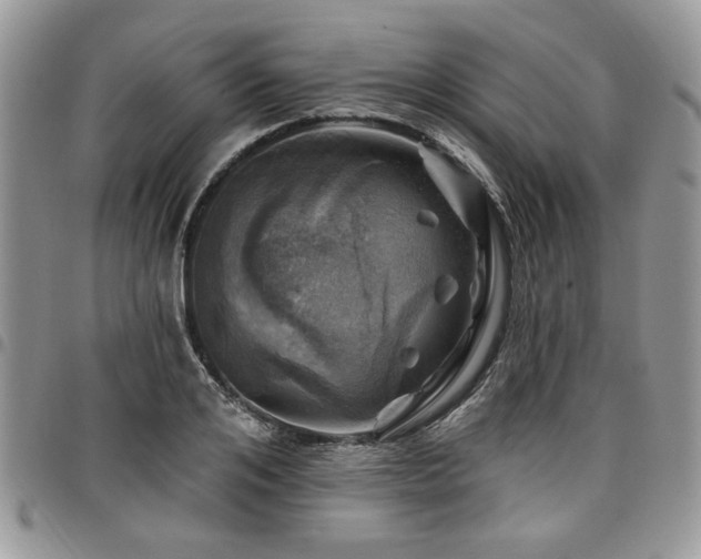 X0000098030984200803281405