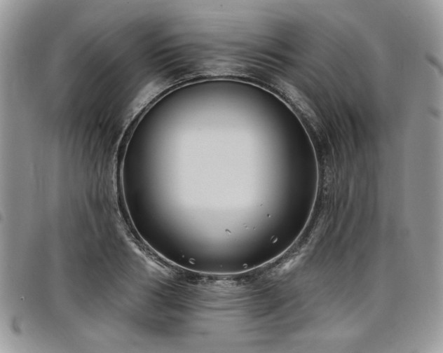 X0000098030986200803281405