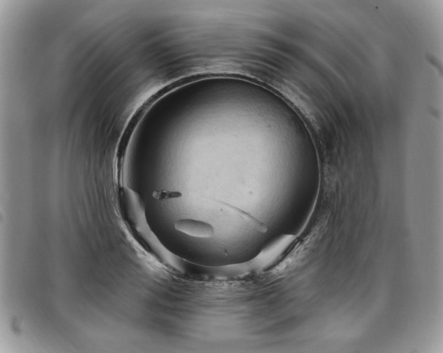 X0000098030988200803281404