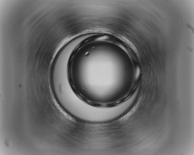 X0000098030989200803281404