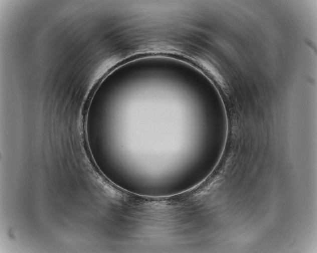 X0000098030990200803281404