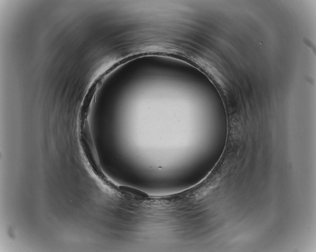 X0000098030991200803281404