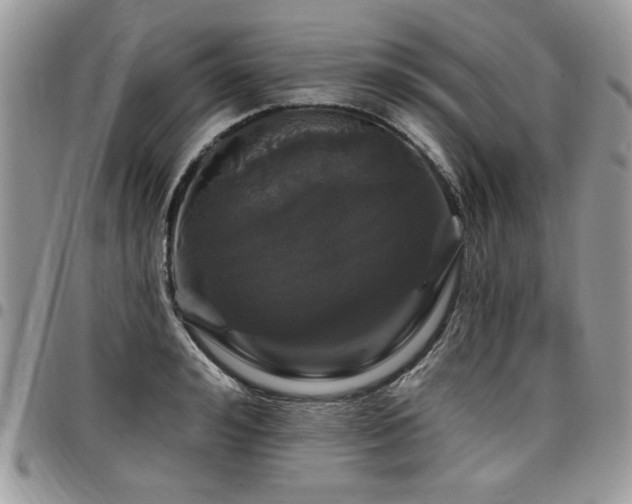 X0000098030992200803281404