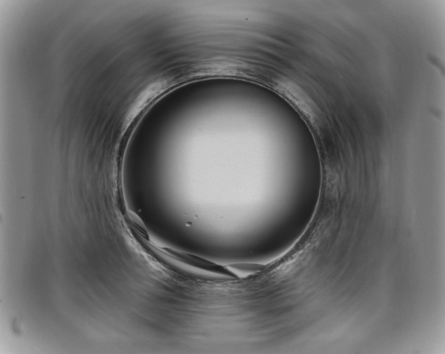 X0000098030994200803281404