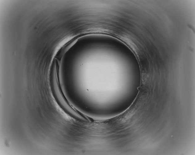 X0000098030995200803281404