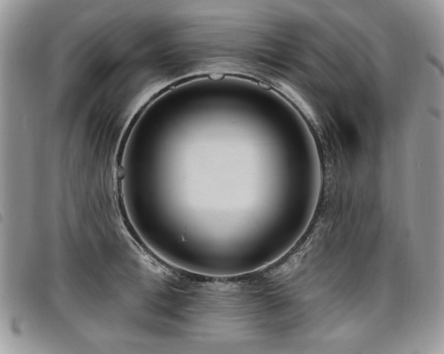 X0000098030996200803281404