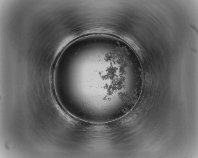 X0000098030998200803281404