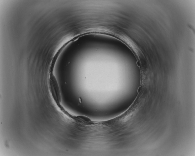 X0000098030999200803281404