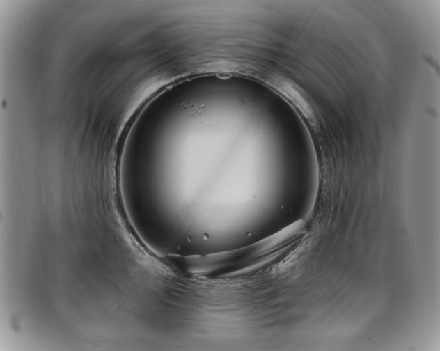 X0000098031000200803281404