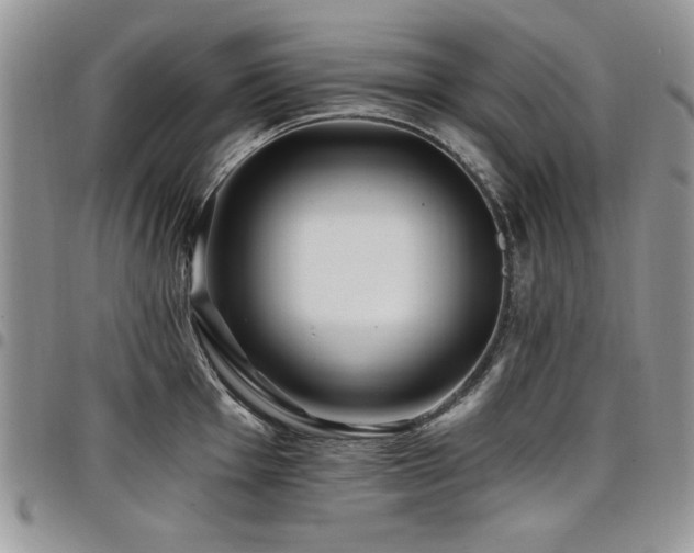 X0000098031001200803281404