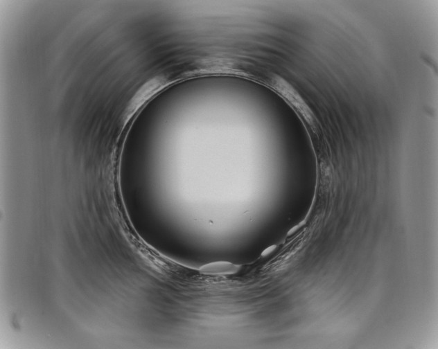 X0000098031002200803281404