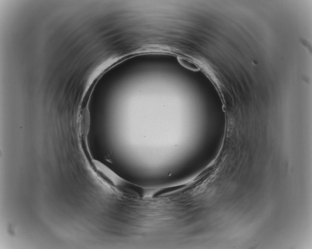 X0000098031003200803281404