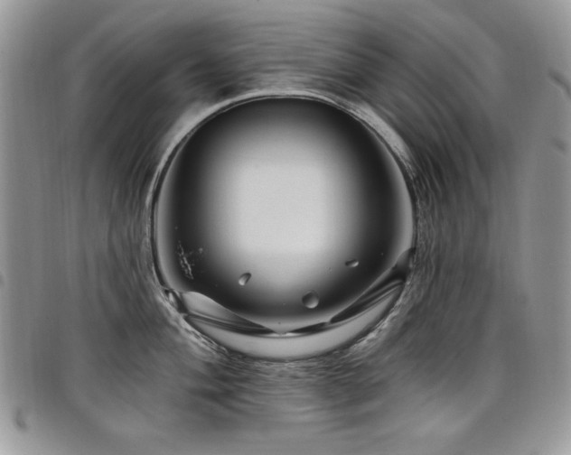 X0000098031004200803281404