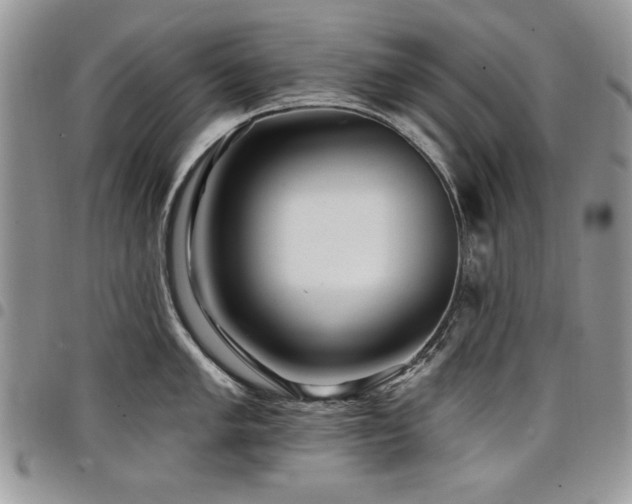 X0000098031005200803281404