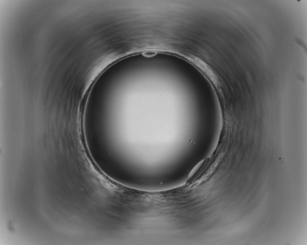 X0000098031006200803281404