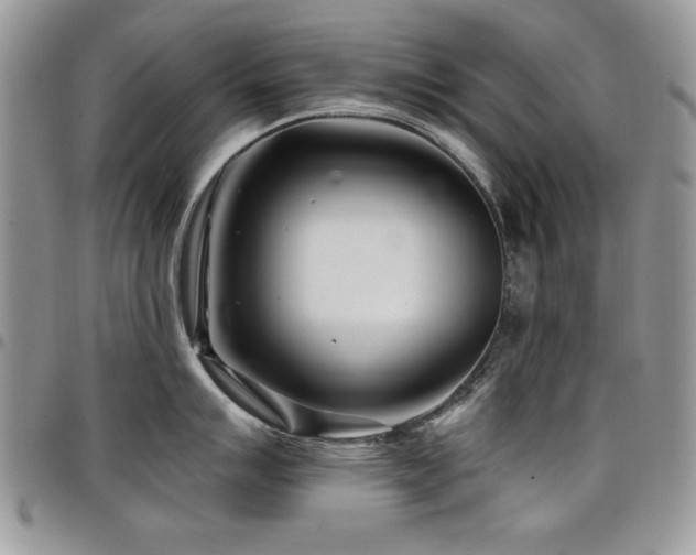 X0000098031007200803281404