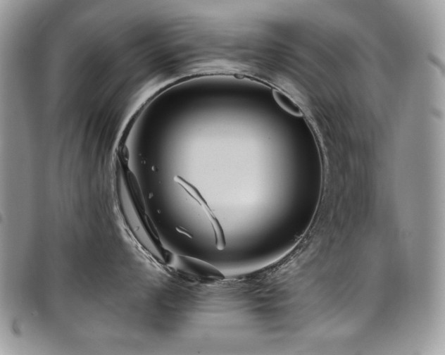 X0000098031008200803281404