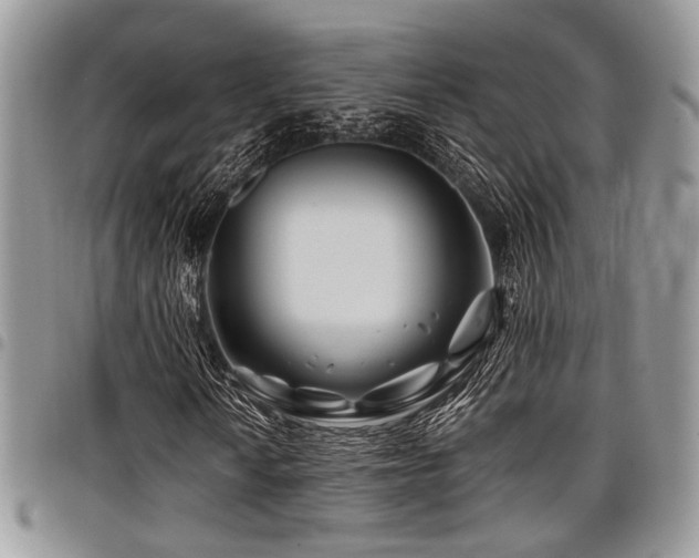 X0000098031010200803281404