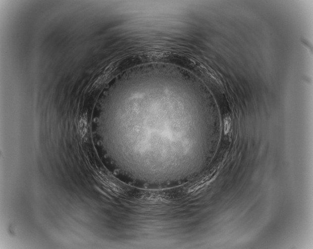 X0000098031011200803281404