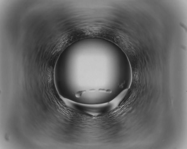 X0000098031012200803281404