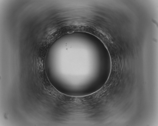 X0000098031013200803281404