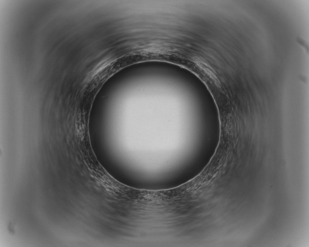 X0000098031015200803281404