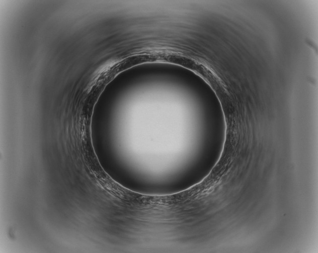 X0000098031016200803281404