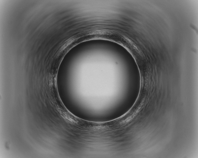 X0000098031017200803281404