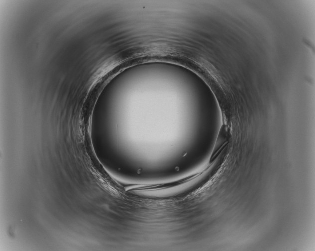 X0000098031018200803281404