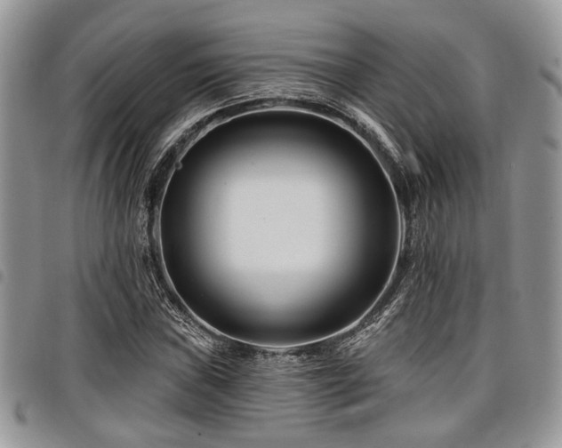 X0000098031019200803281404