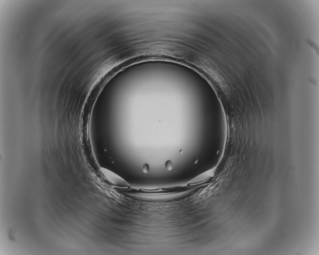 X0000098031020200803281404