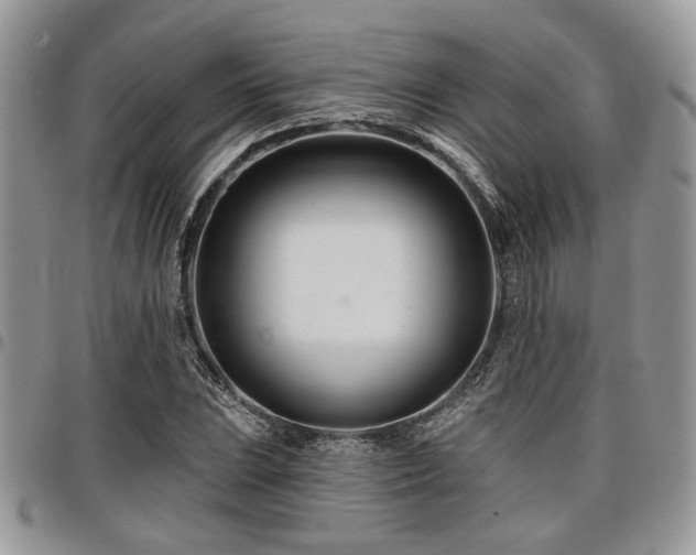 X0000098031023200803281404