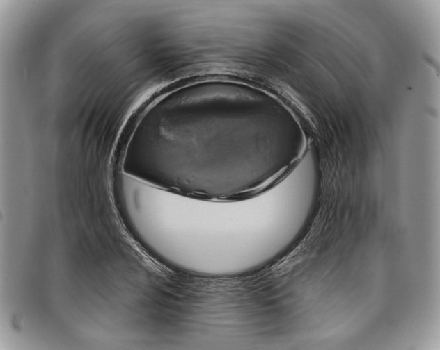 X0000098031024200803281404