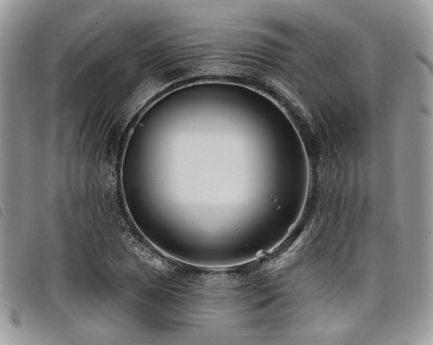 X0000098031025200803281404