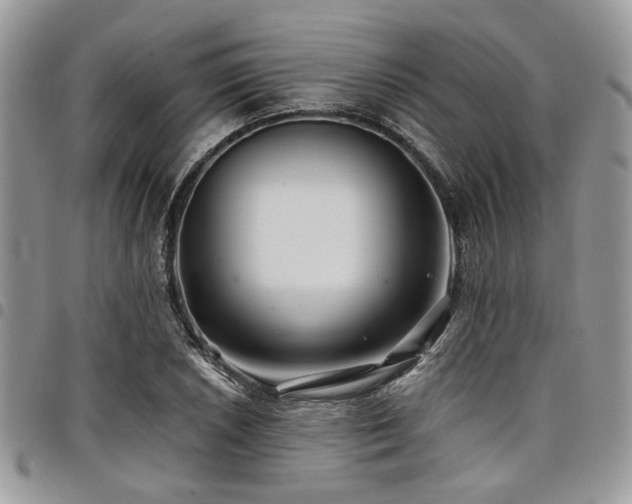 X0000098031026200803281404